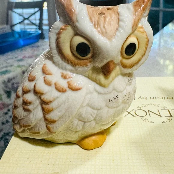Lenox OWL Salt & Pepper Shakers "Wise Owl" NEW IN BOX - Picture 2 of 7